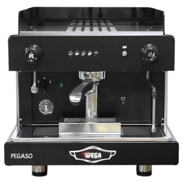 Wega Pegaso 1G