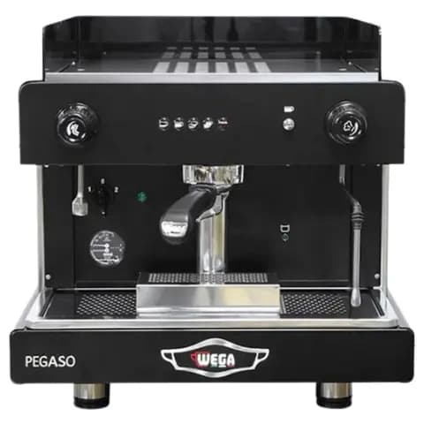 Wega Pegaso 1G